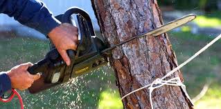 Soil Testing and Treatment in Lake City, FL